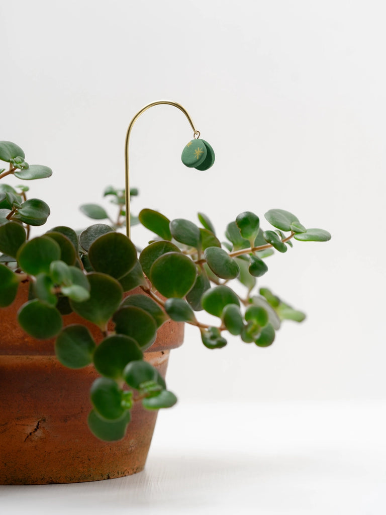 Plant decoration handmade locally in Charlotte, NC (North Carolina), at a Plaza Midwood woman owned jewelry art and home decor gift shop. A can't miss thing to do - order a housemade vegan chai at The Chai Window to sip while you shop. 