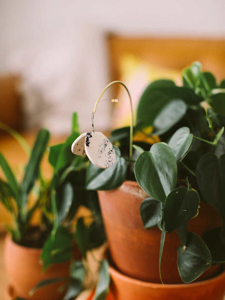 Potted plant with plant butterfly, handmade locally in Charlotte, NC (North Carolina), at a Plaza Midwood woman owned jewelry art and home decor gift shop. A can't miss thing to do - order a housemade vegan chai at The Chai Window to sip while you shop. 