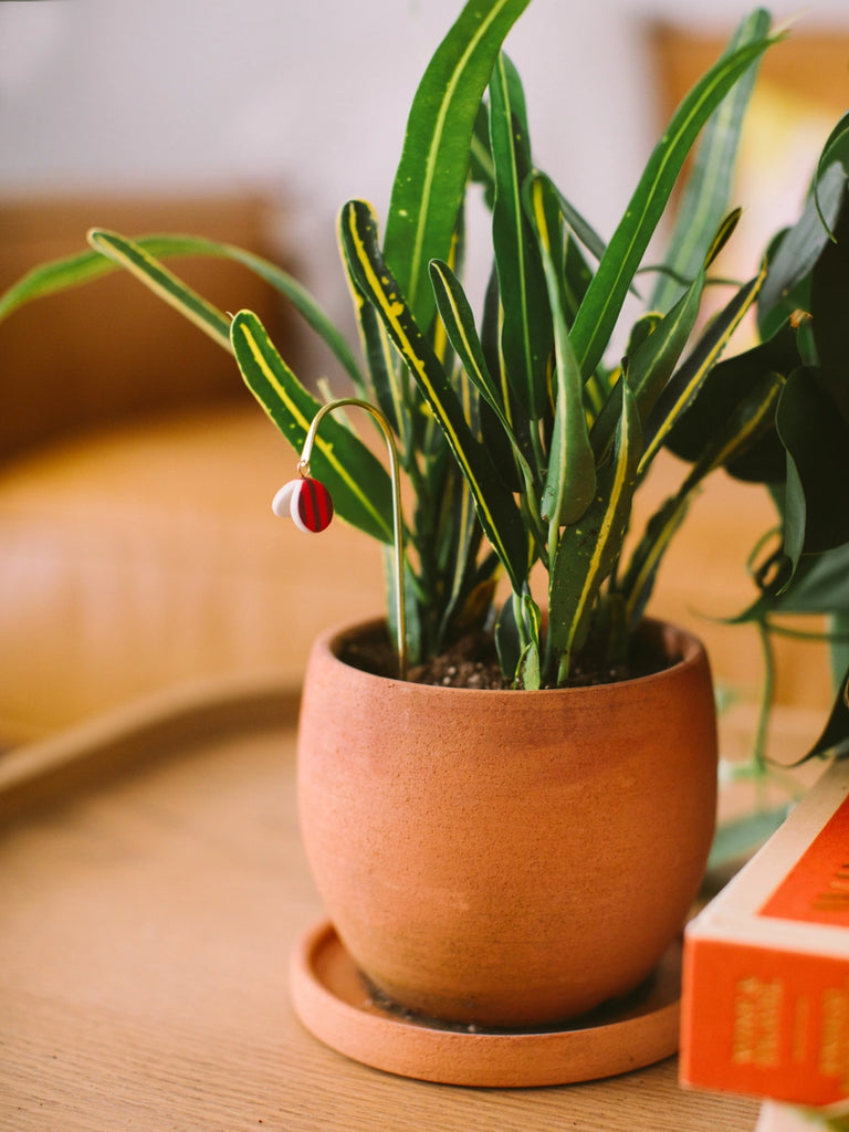 Potted plant charm, handmade locally in Charlotte, NC (North Carolina), at a Plaza Midwood woman owned jewelry art and home decor gift shop. A can't miss thing to do - order a housemade vegan chai at The Chai Window to sip while you shop. 