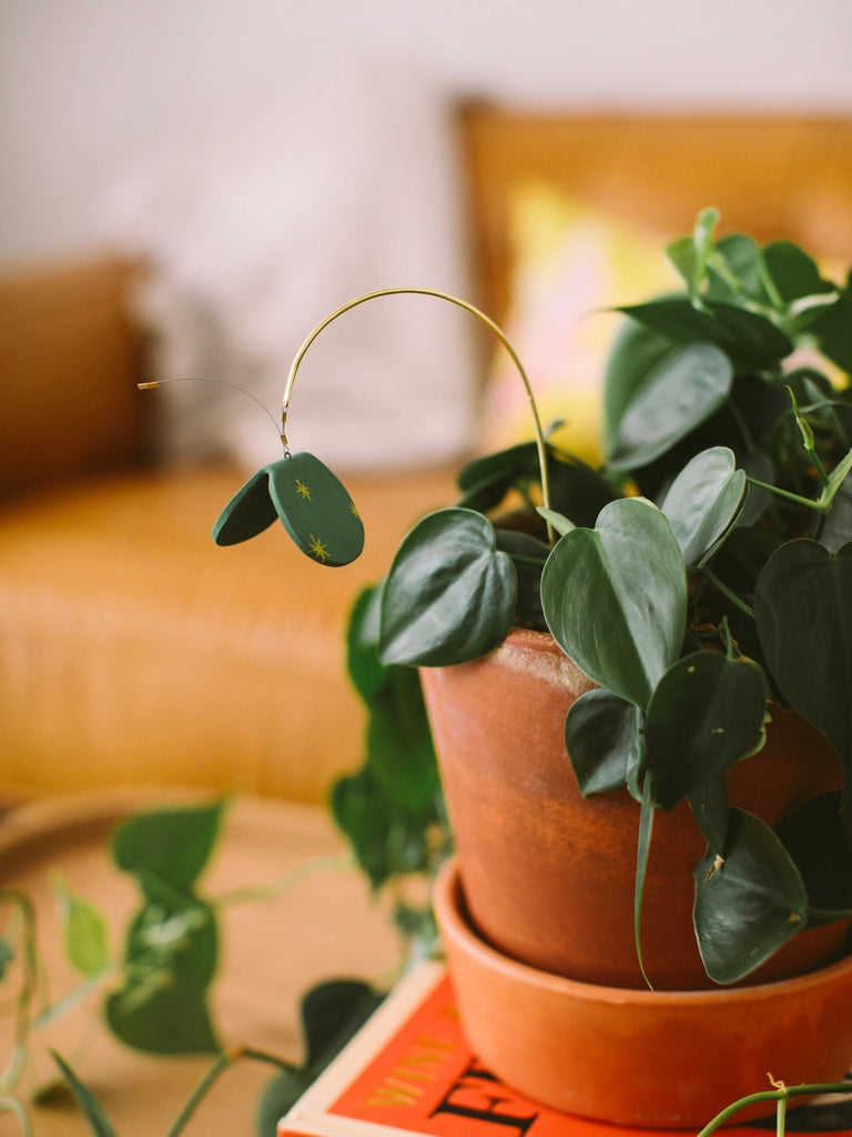 Potted plant charm, handmade locally in Charlotte, NC (North Carolina), at a Plaza Midwood woman owned jewelry art and home decor gift shop. A can't miss thing to do - order a housemade vegan chai at The Chai Window to sip while you shop. 